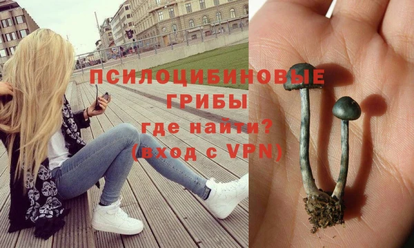 прущие крисы Баксан