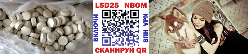закладки  Новая Ладога  LSD-25 экстази ecstasy 
