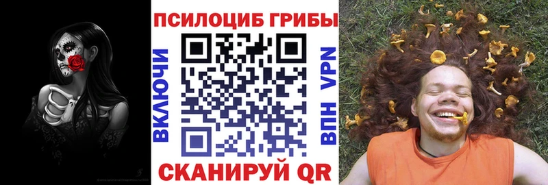 omg ССЫЛКА  Новая Ладога  Псилоцибиновые грибы прущие грибы 